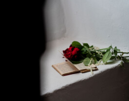 Libro, rosa y rosario_Laura Rosselló